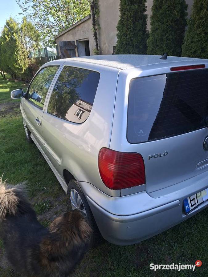 VW Polo Uniejów