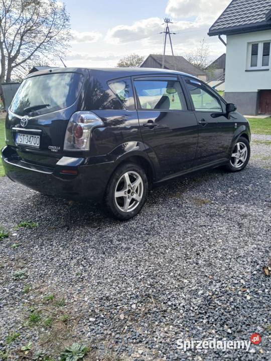 Toyota verso Bodzentyn