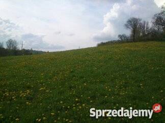 Sprzedam działkę budowlaną w Lipnicy Wielkiej Nieruchomości małopolskie Korzenna