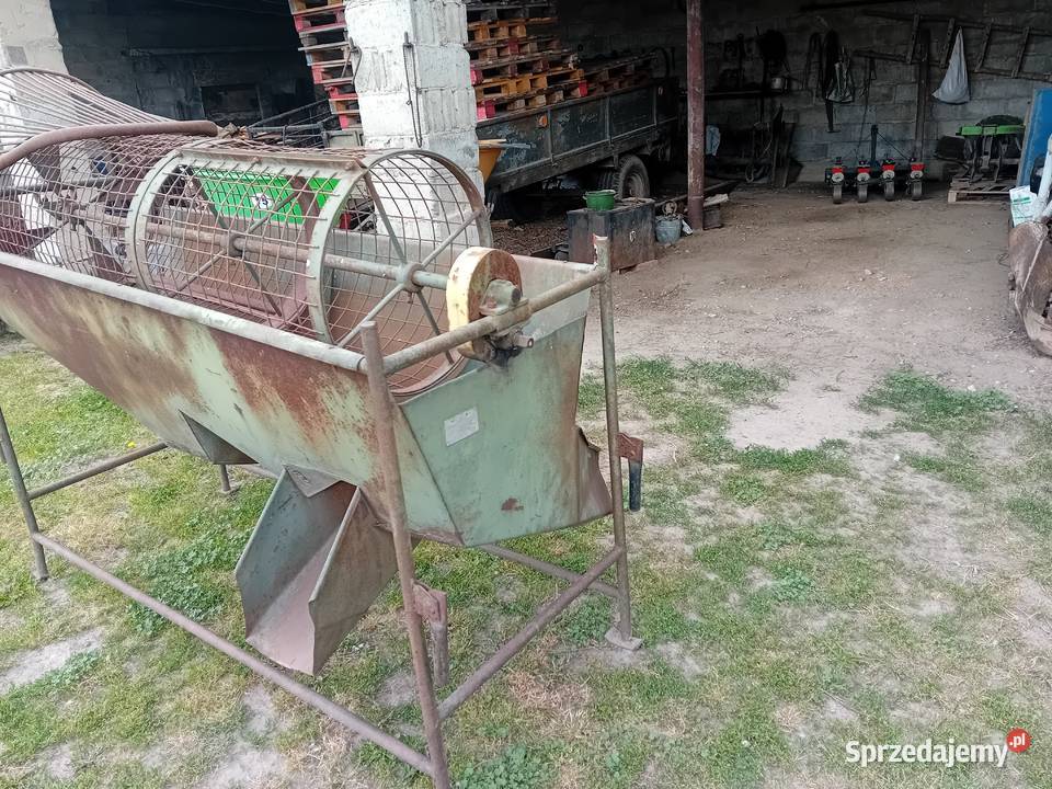 sortawnik do ziemniaka Mrożewice