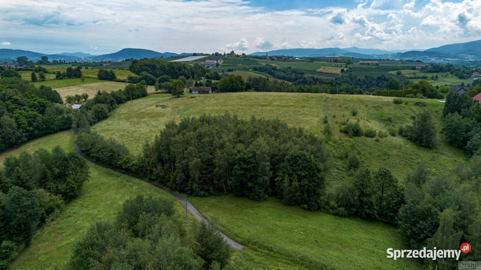 Grunt sprzedam 6500m2 Zegartowice Zegartowice
