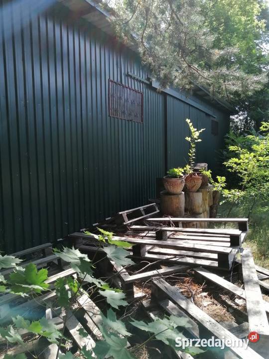 Nieruchomość Syndyka Józefów Wiązowska