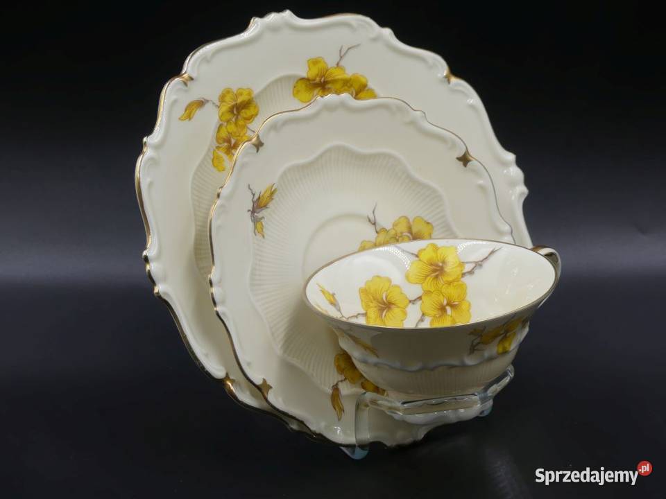 Komplet śniadaniowy Sorau Żary Forsycja stan wielkopolskie Poznań