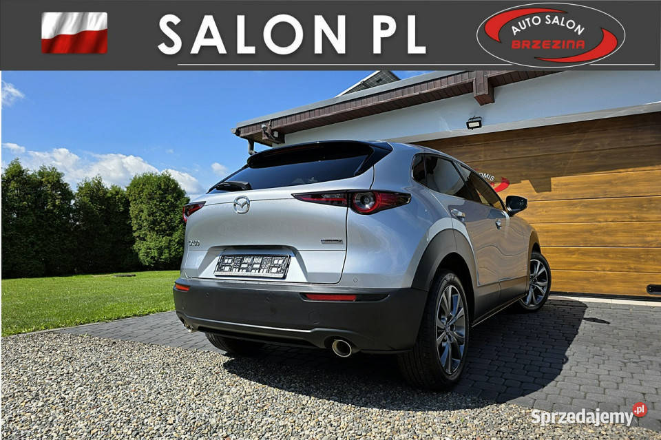 Mazda CX30 serwis ASO Hak ABS śląskie Rydułtowy