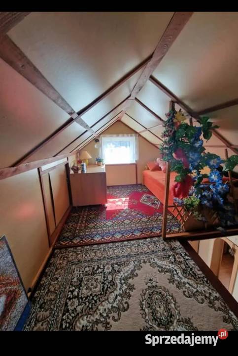 Działka ROD RELAX Świecie sprzedam