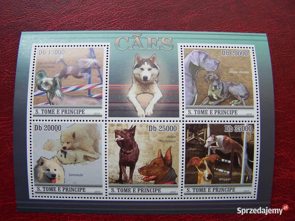 Wyspy Św Tomasza 2010 MNH Zwierzęta Fauna Psy śląskie Tychy