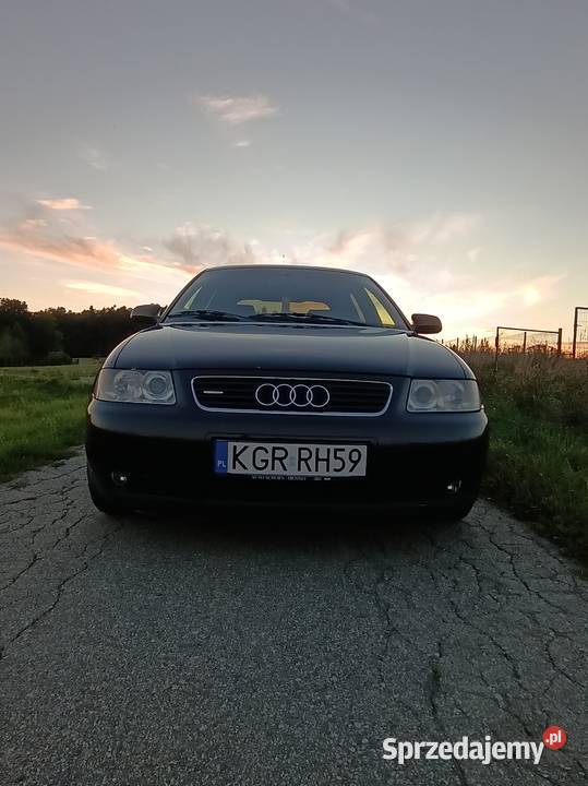 Audi a3 8l Quattro 19 TDI Biecz