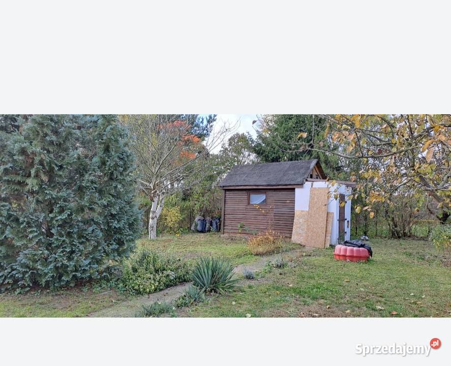 Rod Malwa woda mazowieckie Milanówek