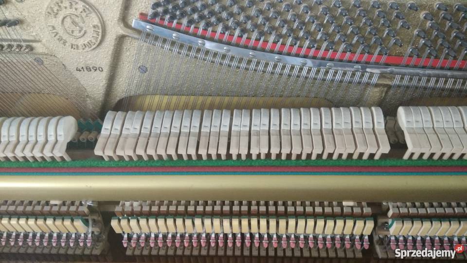 Pianino CALISIA Łapy