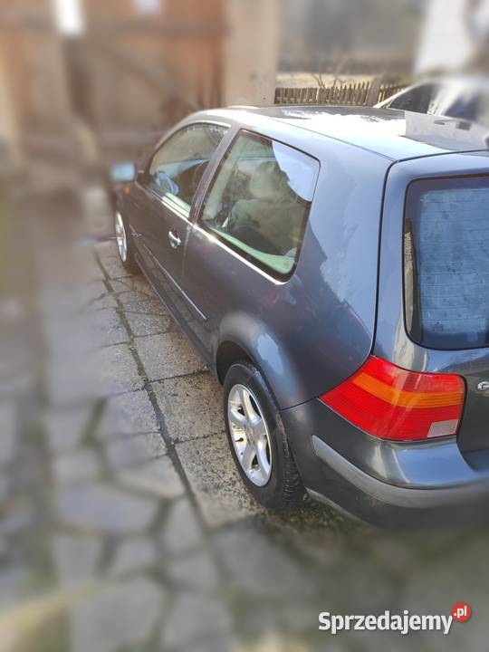 VW Golf 4 20 Klima Hak z Niemiec szary śląskie Jastrzębie-Zdrój