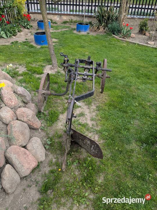 pług Ostrowiec Świętokrzyski