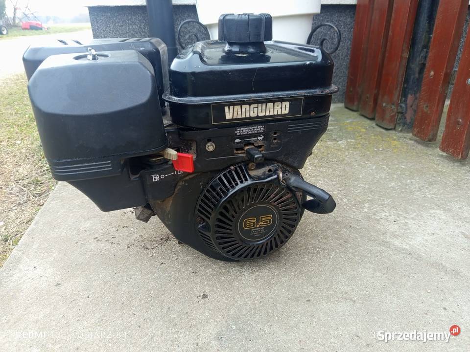 szarpak rozrusznik vanguard VANGUARD 65HP 65 Borki