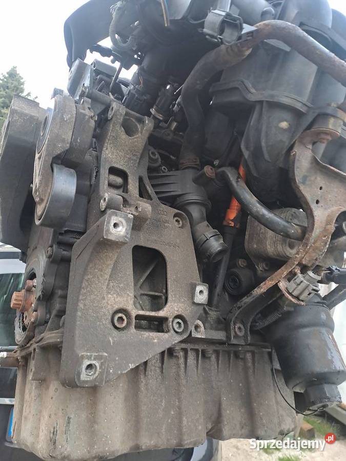 Audi Seat Skoda Volkswagen 20 FSi 150 silnik Rok produkcji 2008 Jastrzębie-Zdrój