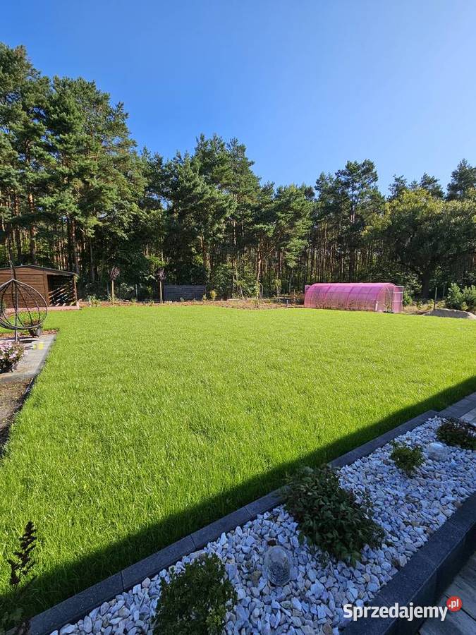 Zakładanie pielęgnacja ogrodu Bydgoszcz