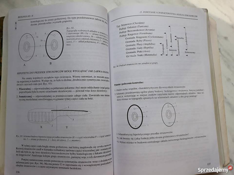Waldemar Lewiński Biologia 12 Stalowa Wola sprzedam