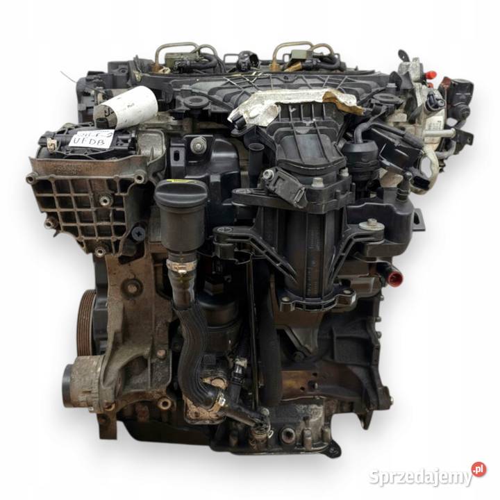SILNIK UFDB Ford Focus III MK3 C C II 20 TDCI Chełm sprzedam