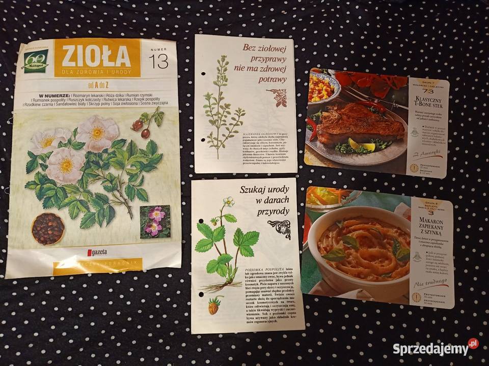 Lecz się sam Nowe tajemnice niekonwencjonalnej zdrowie, pierwsza pomoc Poradniki, albumy i reportaże wielkopolskie Poznań
