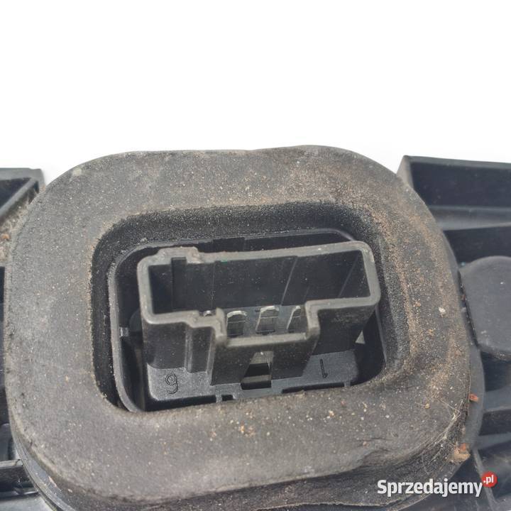 WKŁAD TYLNEJ LAMPY Citroen C3 tylniej tylny lewy osobowe Chełm