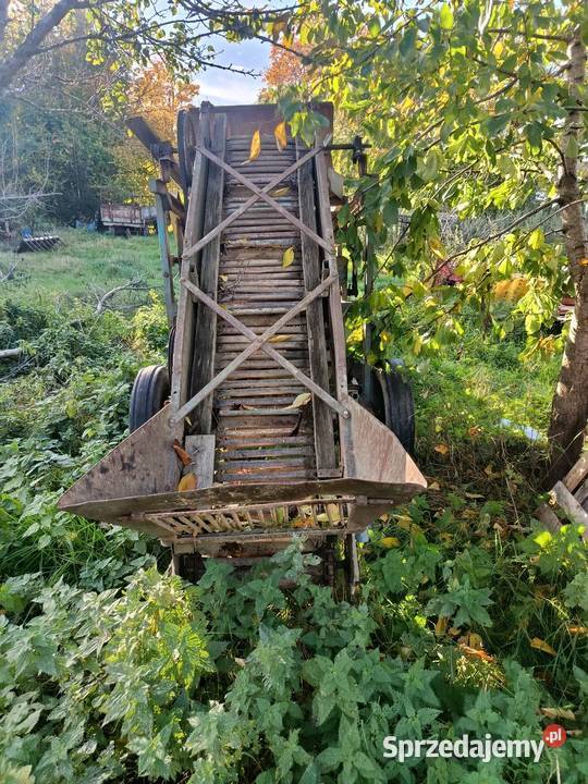 Sortownik do ziemniaków puck zachodniopomorskie Brojce