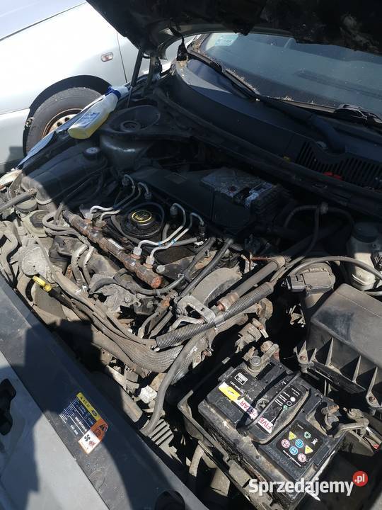 Silnik ford mondeo śląskie Czerwionka-Leszczyny