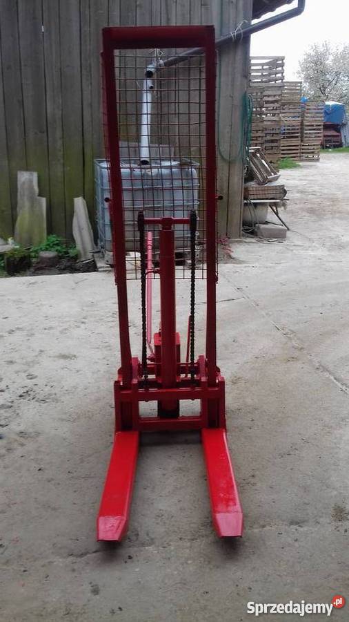 Paleciak z masztem Miechów