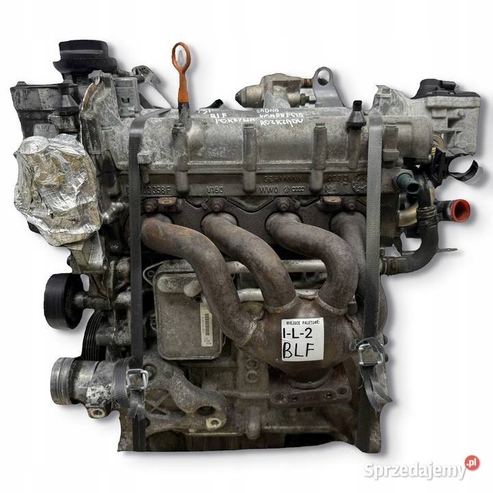 SILNIK BLF VW Touran Golf V Eos Jetta III 16 FSI Chełm