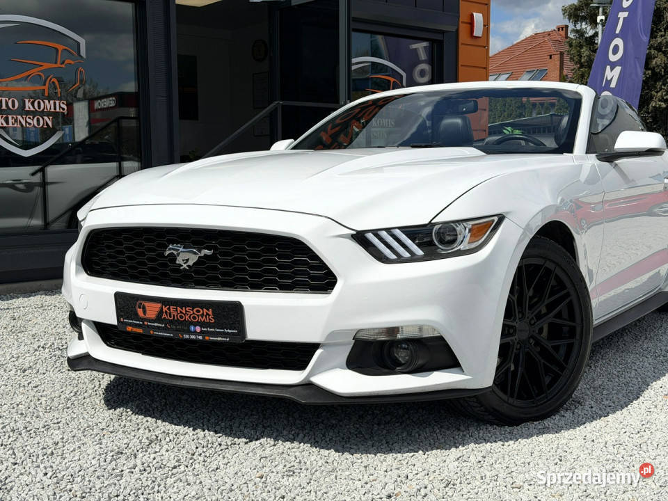 Ford Mustang Skórzana tapicerka Podgrzewane nieuszkodzony Bydgoszcz