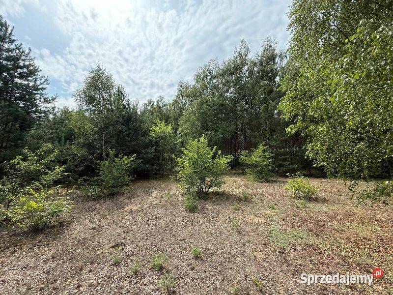 Urokliwa działka lesie idealna pod zabudowę 4000m2 mazowieckie sprzedam