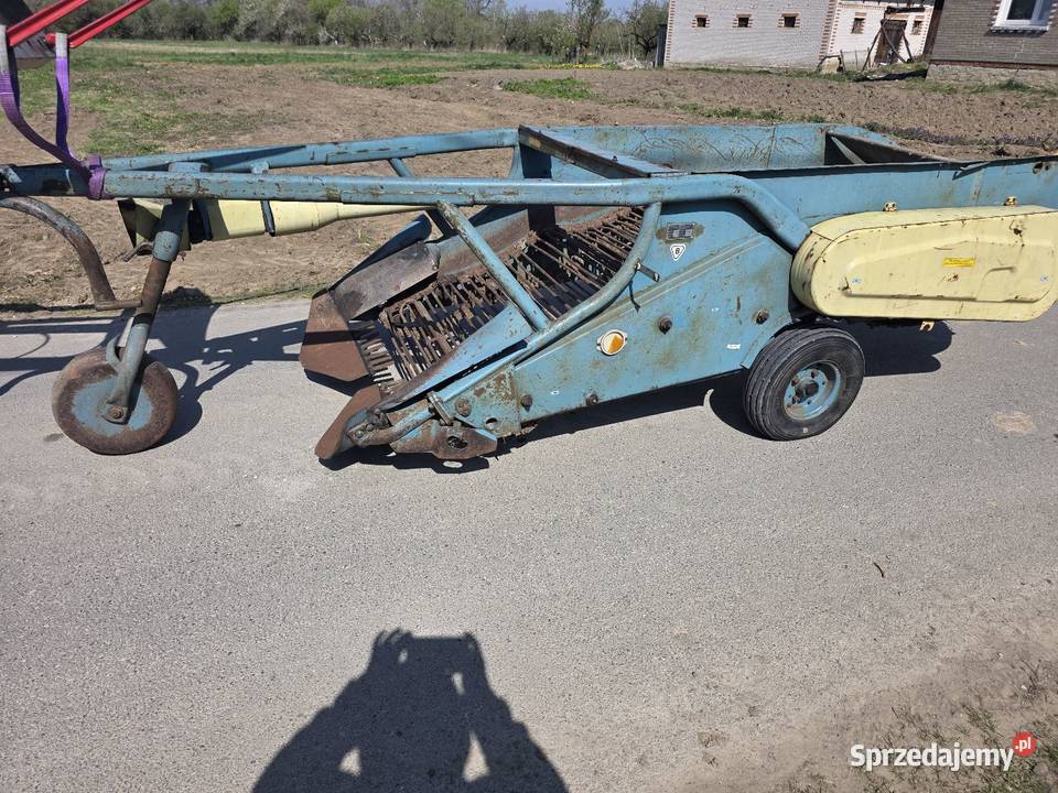 Kopaczka elewatorowa dwurzedowa do ziemniakow Samborzec