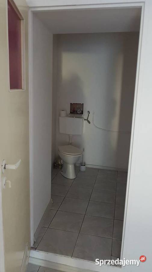 Wynajmę lokal w Głuchołazy Powstańców Śląskich 2 opolskie