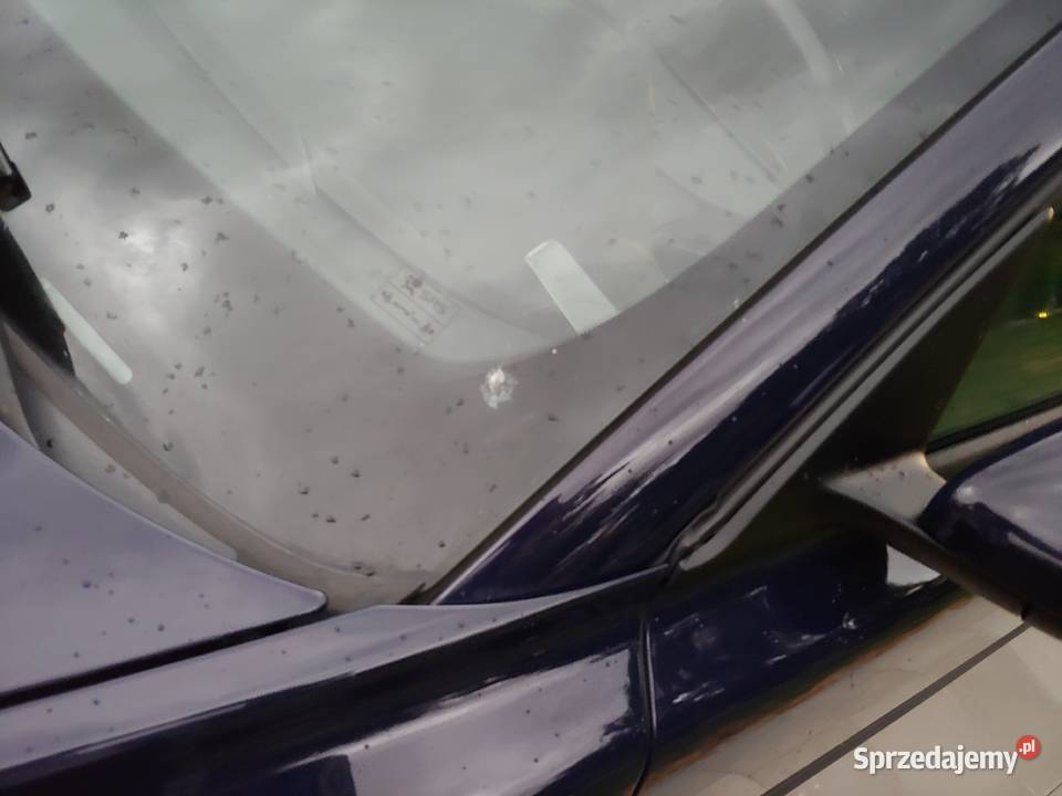 Volvo V50 16BG Motoryzacja Radzyń Podlaski