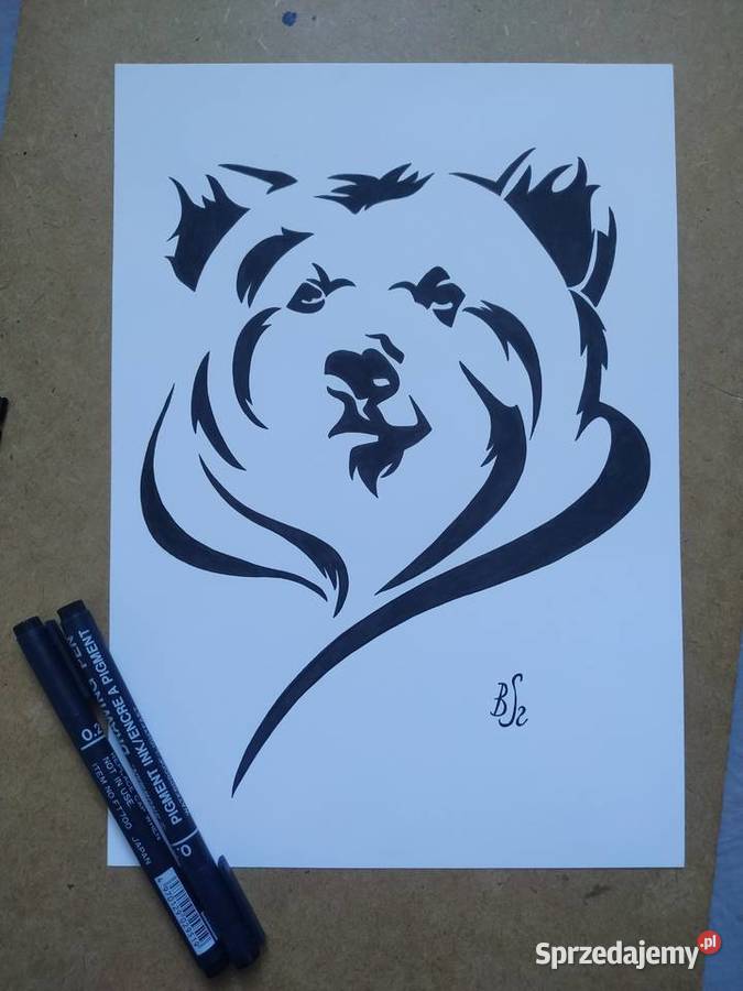 Rysunek niedźwiedź cienk blok t A4 250 gm2 mazowieckie Warszawa