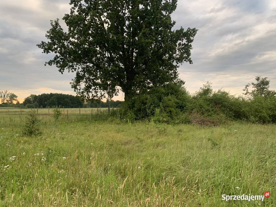 Działka rolna 35 ha Gozdnica