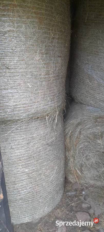 Sprzedam siano Trawy, słoma Turza Mała sprzedam