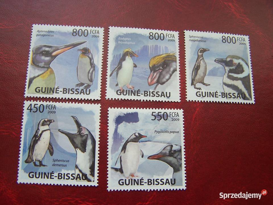Gwinea Bissau 2009 MNH Fauna Pingwiny Tychy sprzedam