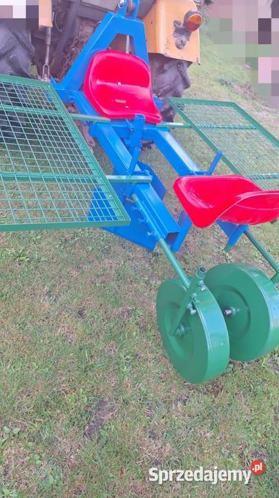 Sadzarka do porzeczki malin Czysta Dębina