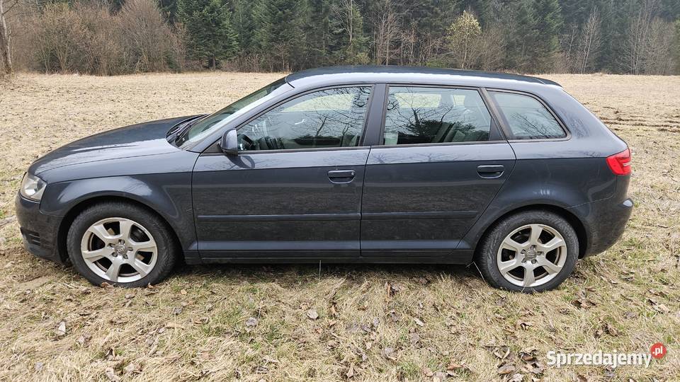 Audi A3 16 TDI Sportback DPF Ambition Przyborów