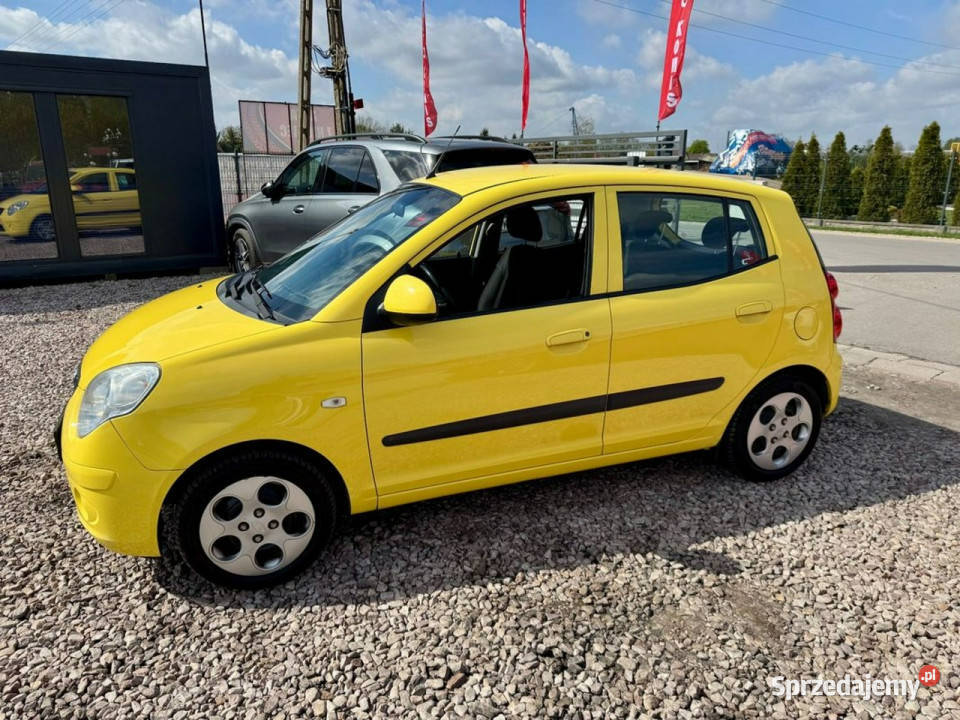 Kia Picanto Kia Picanto 11 Ładny Sprawny Picanto Szerominek