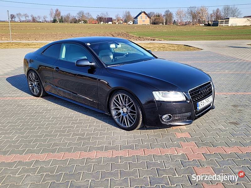 DOINWESTOWANY EGZEMPLARZ Słomniki