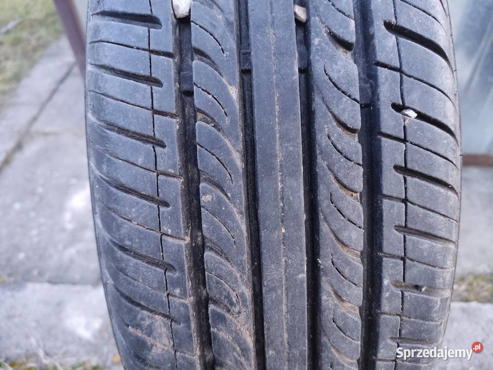 Opony R13 15565 Padew Narodowa