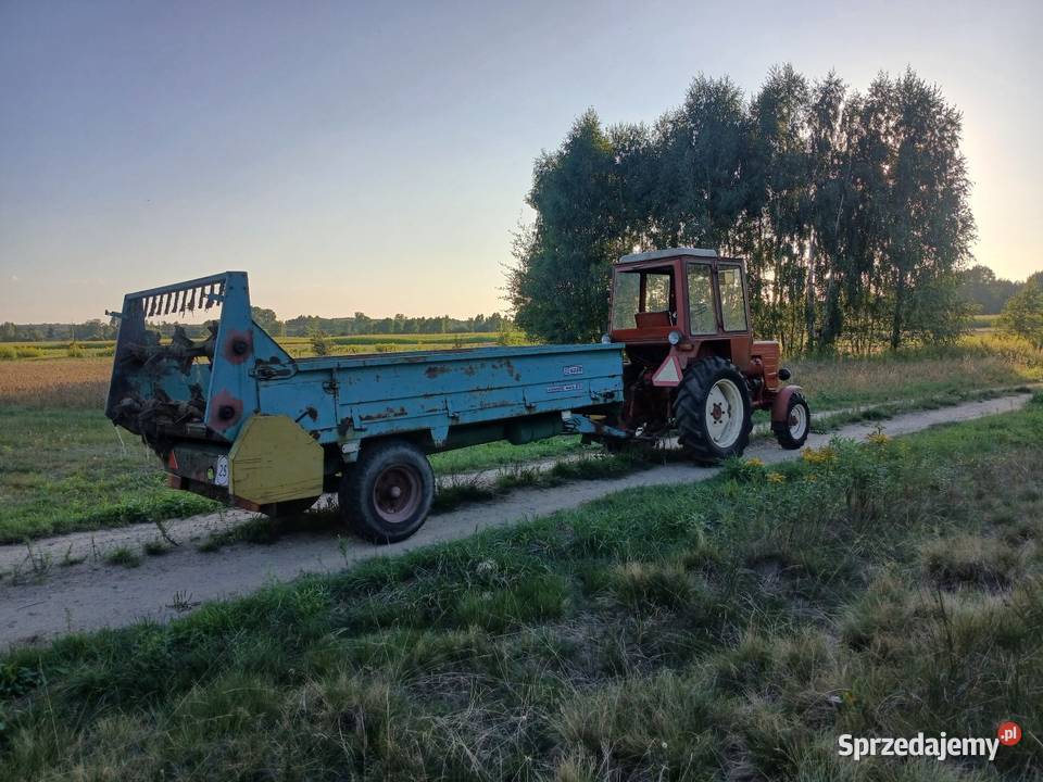 Rozrzutnik warfama n226 Rozrzutniki obornika Mistów