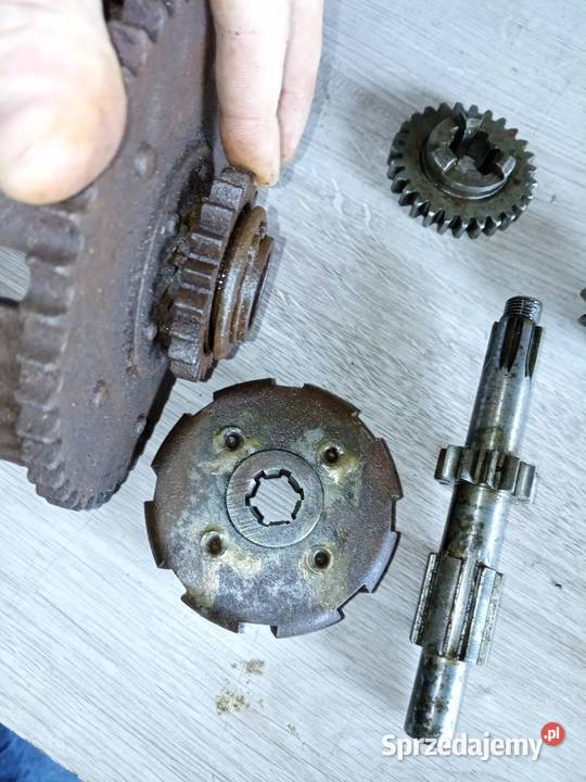 Panonia kosz wałek tryb zębatka Stalowa Wola