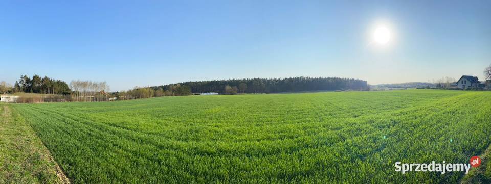 Działka budowlana na sprzedaż Kleszczewo