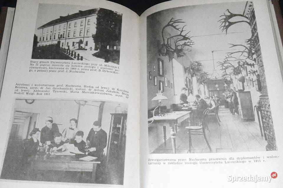 Józef Nusbaum Hilarowicz Gabriel Brzęk Chełm