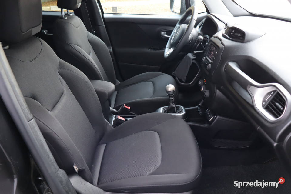 Jeep Renegade 10 TGDI Renegade śląskie