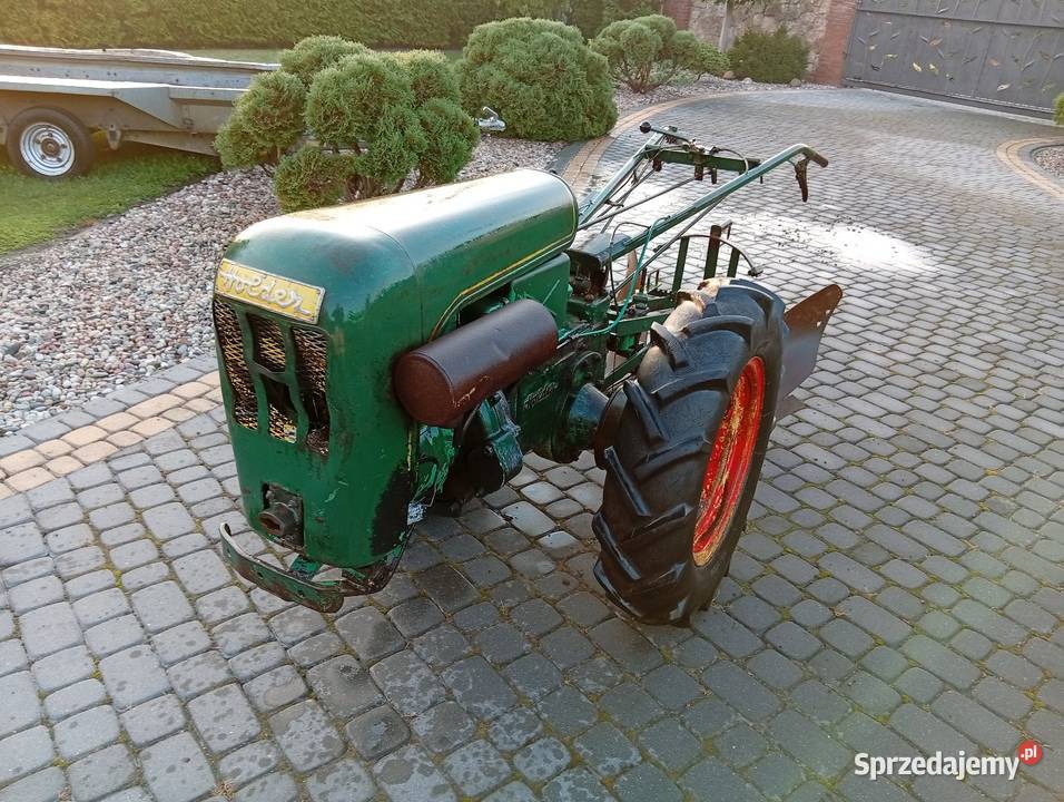 Dzik diesel sprawny z Holandii czytaj opis lubelskie Chełm