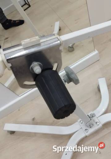 Lampa bioptron pro 1 serwisie Olesno