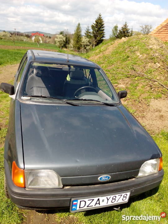 Ford Fiesta 1991 16d Dzbanów sprzedam