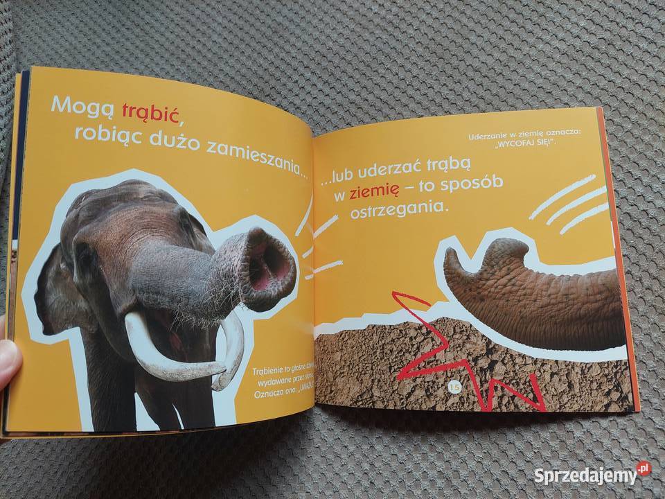 Co jeden słoń powiedział drugiemu Becky Baines Książki dla dzieci małopolskie Kraków