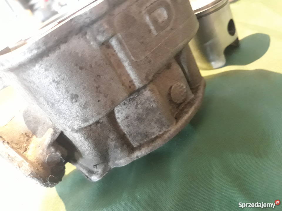 Aprilia RS derbi GPR silnik D50B1 D50B0 Papowo Biskupie